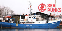 Sea Punks 4